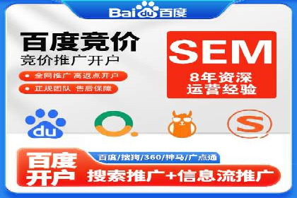 深入剖析SEM公司成功案例：数据驱动的广告策略