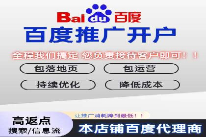 行业领先的SEM策略：成功案例与经验分享